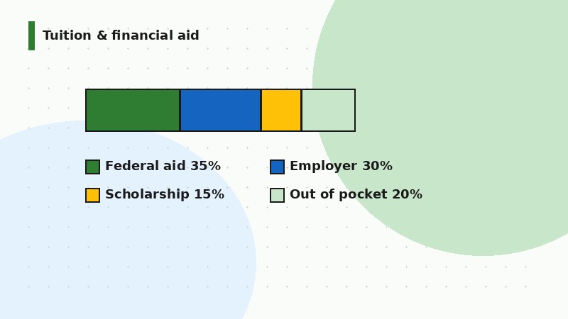 online bachelors in nursing tuition financial aid flat illustration
